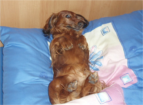 Benik