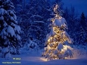 Image hosted by PictureUp.Cz